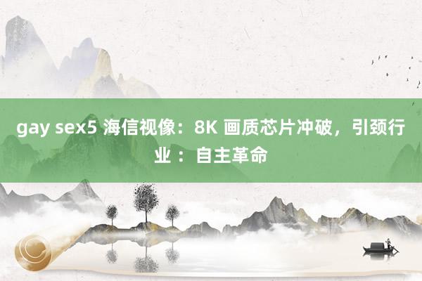 gay sex5 海信视像：8K 画质芯片冲破，引颈行业 ：自主革命