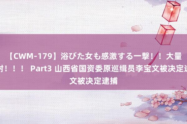 【CWM-179】浴びた女も感激する一撃!!大量顔射!!! Part3 山西省国资委原巡缉员李宝文被决定逮捕