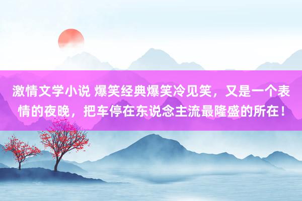 激情文学小说 爆笑经典爆笑冷见笑，又是一个表情的夜晚，把车停在东说念主流最隆盛的所在！