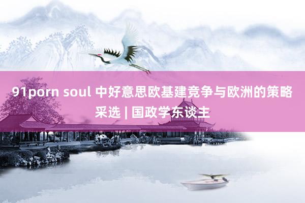 91porn soul 中好意思欧基建竞争与欧洲的策略采选 | 国政学东谈主