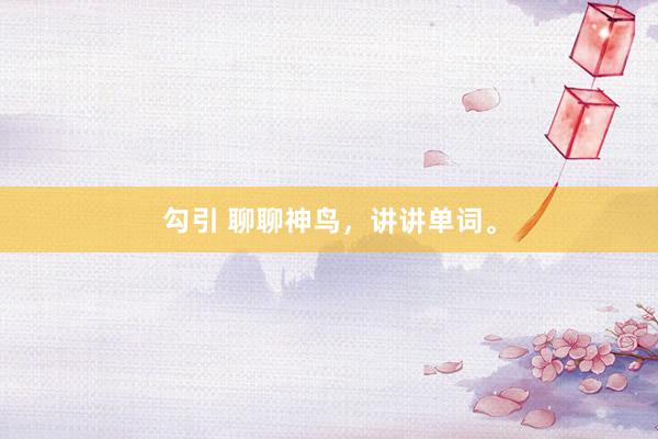 勾引 聊聊神鸟，讲讲单词。