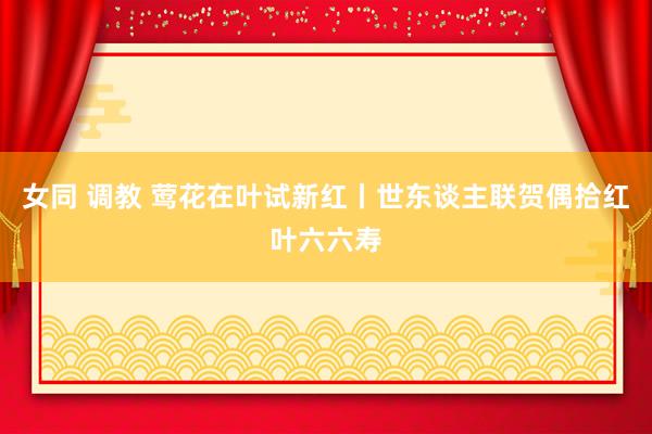 女同 调教 莺花在叶试新红丨世东谈主联贺偶拾红叶六六寿