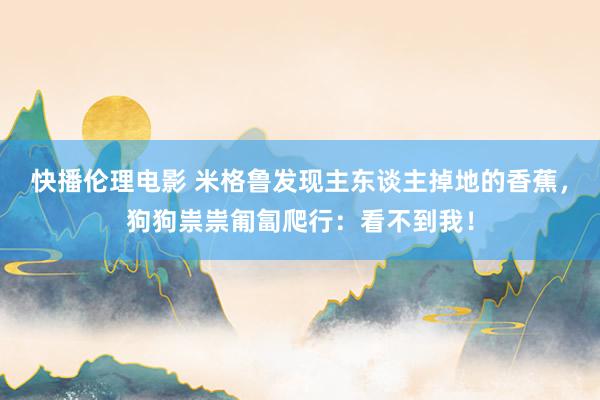 快播伦理电影 米格鲁发现主东谈主掉地的香蕉，狗狗祟祟匍匐爬行：看不到我！