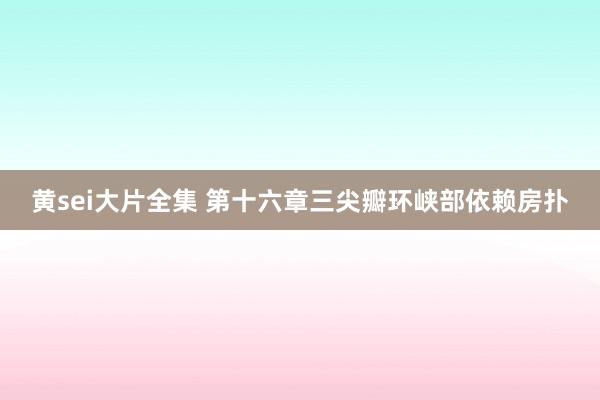黄sei大片全集 第十六章三尖瓣环峡部依赖房扑