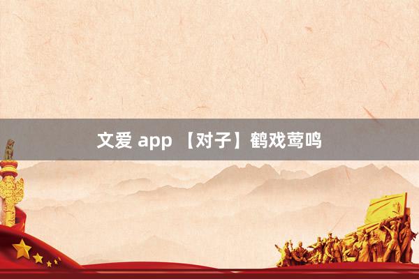 文爱 app 【对子】鹤戏莺鸣