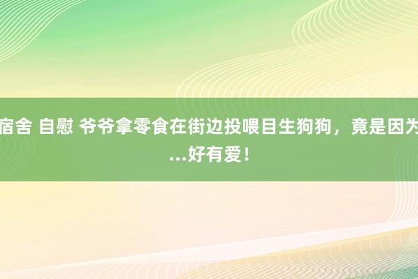 宿舍 自慰 爷爷拿零食在街边投喂目生狗狗，竟是因为...好有爱！