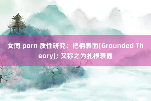 女同 porn 质性研究：把柄表面(Grounded Theory); 又称之为扎根表面